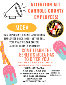 Carroll County Flyer